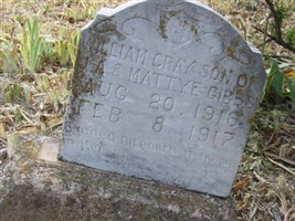 William Cray Gibbs