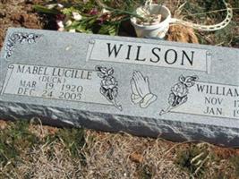 William Curtis Wilson