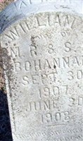 William D Bohannan