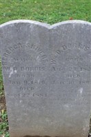 William D Dorris