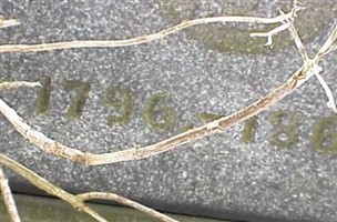 William Davenport