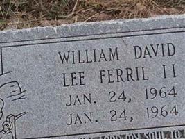 William David Lee FERRIL, II