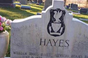 William Davis Hayes