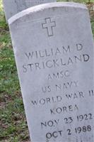 William Dewitt Strickland