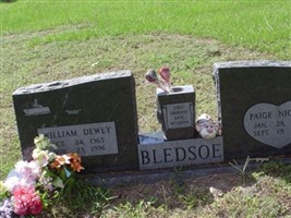 William Dewy "Dude" Bledsoe