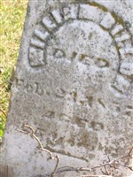 William Dillow