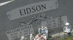 William Doyle Eidson