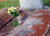William E. Prater William E. Prater