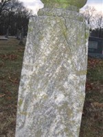 William E. Robb William E. Robb