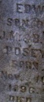 William Edwin Posey