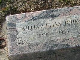 William Elias Johns