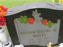 William Eugene Watts, Jr William Eugene Watts, Jr
