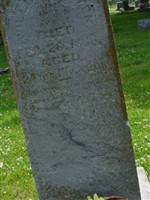 William Felten William Felten