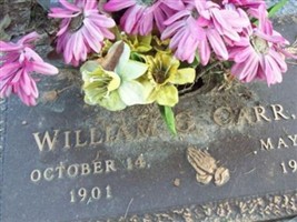 William G Carr, Jr William G Carr, Jr