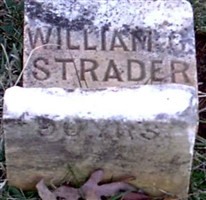 William G Strader William G Strader