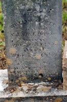 William George Purvis