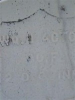 William H Acton