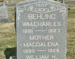 William H Behling William H Behling