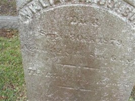 William H. Colburn William H. Colburn