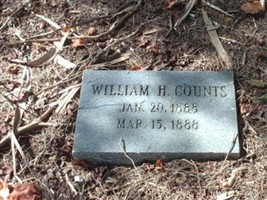William H Counts