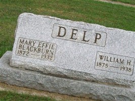 William H Delp William H Delp