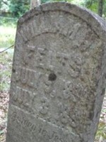 William H Felts