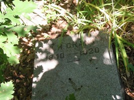 William H Grant William H Grant