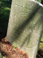 William H. Harrison Damon