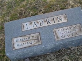 William H Larkin William H Larkin