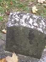 William H Purdy