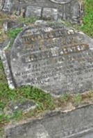 William H Senter William H Senter