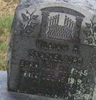 William H Shackelford