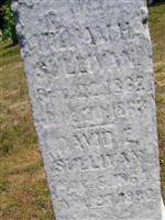 William H Sullivan