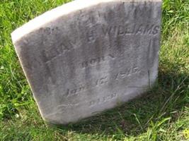 William H Williams