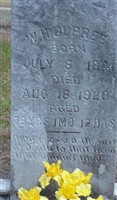 William Henry Dupree