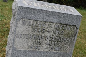 William Henry Wiggins