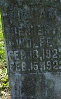 William Herbert Wolfe