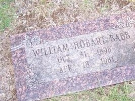 William Hobart Babb William Hobart Babb