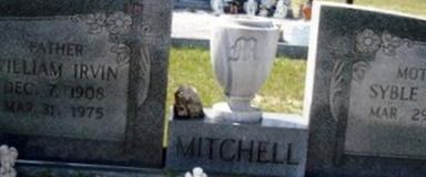 William Irvin Mitchell William Irvin Mitchell