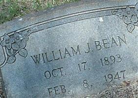 William J Bean