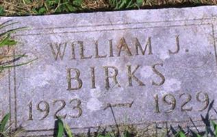 William J. Birks