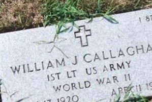 William J Callaghan William J Callaghan