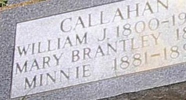 William J. Callahan William J. Callahan