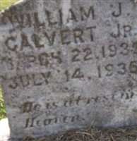William J Calvert, Jr William J Calvert, Jr