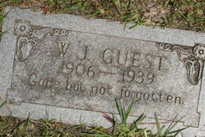William J Guest