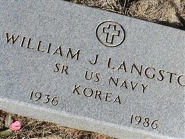 William J Langston William J Langston