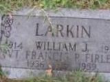 William J Larkin William J Larkin