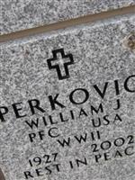 William J Perkovic