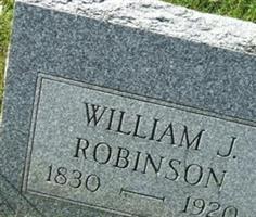 William J Robinson