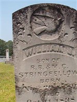 William J Stringfellow William J Stringfellow